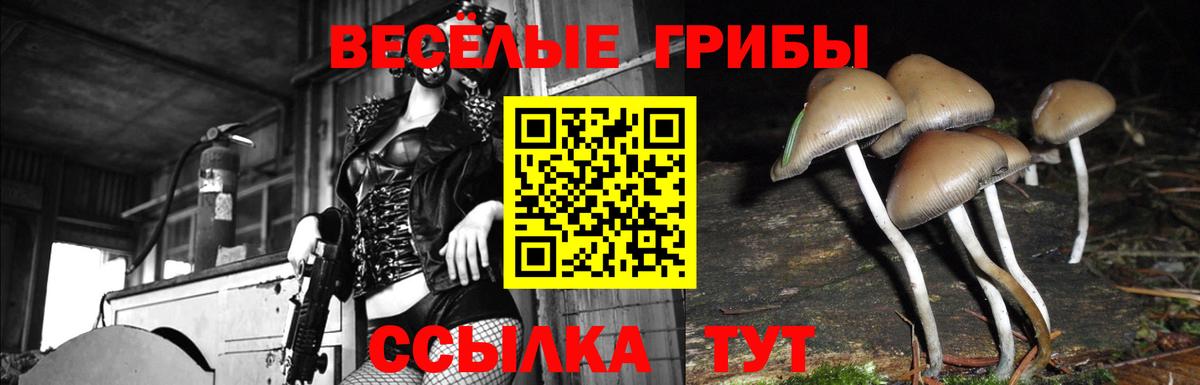 Галлюциногенные грибы ЛСД Пыть-Ях